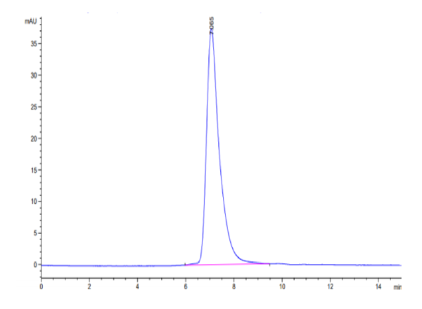 HPLC of Mouse MERTK/Mer Protein 3187