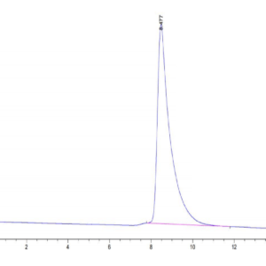 HPLC of Mouse BTN2A2 Protein 3189