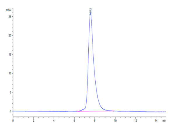 HPLC of Mouse NKG2C/CD159c Protein 3195