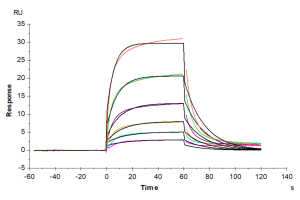 SPR with Human GAS6 Protein 3207