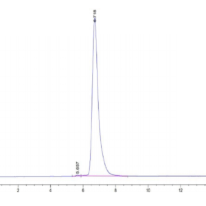 HPLC of Human DLK1 Protein 3213