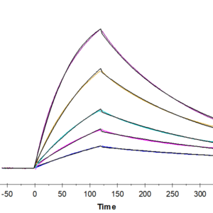 SPR with Mouse Beta Klotho Protein 3222