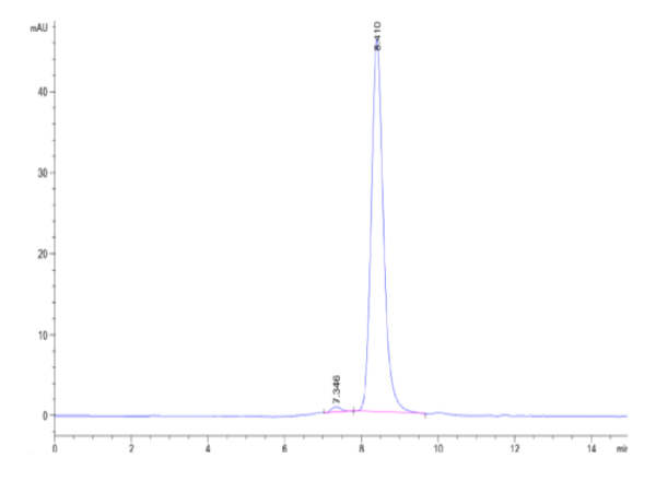 HPLC of Mouse Beta Klotho Protein 3222