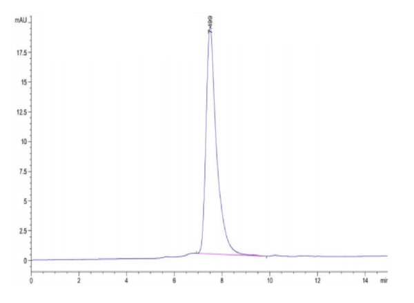 HPLC of Rat GARP&Latent TGF Beta 1 Complex Protein 3224