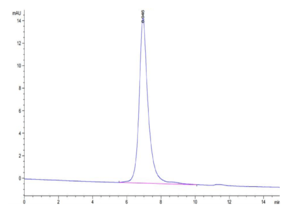 HPLC of Biotinylated Human Integrin alpha V beta 6 (ITGAV&ITGB6) Hetero 3234