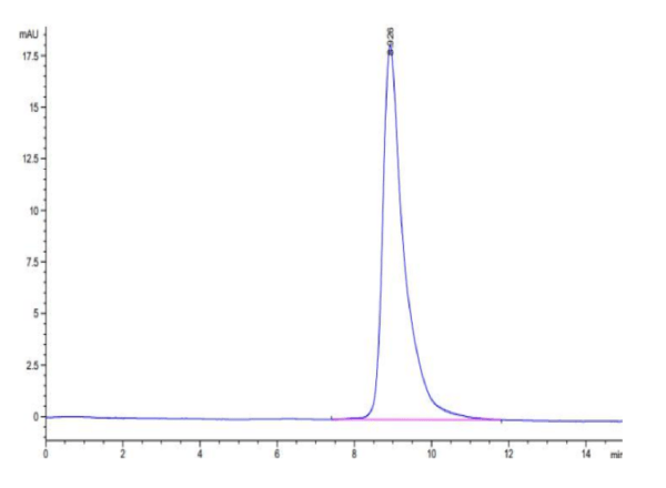 HPLC of Biotinylated Human LAIR1/CD305 Protein 3235