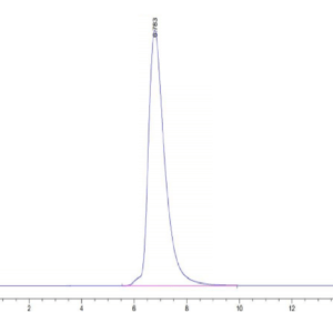 HPLC of Human HLA-A*11:01&B2M&LMP2 (SSCSSCPLTK) Tetramer Protein 3236