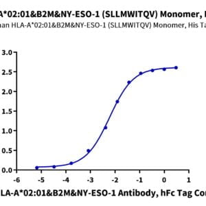 ELISA with Human HLA-A*02:01&B2M&NY-ESO-1 (SLLMWITQV) Monomer Protein 3238