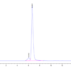HPLC of Human HLA-A*02:01&B2M&HBV (FLLTRILTI) Tetramer Protein 3244