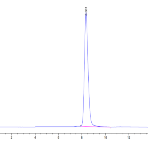 HPLC of Human BPIFA1/LUNX Protein 3250