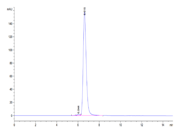 HPLC of Human HLA-A*02:01&B2M&HPV16 E7 (YMLDLQPET) Tetramer Protein 3252