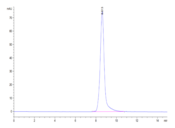 HPLC of Biotinylated Human HLA-A*02:01&B2M&HPV16 E7 (YMLDLQPET) Monomer 3253