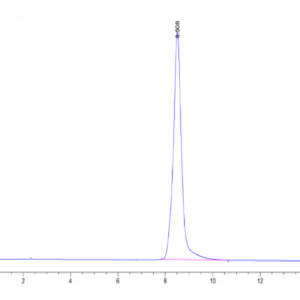 HPLC of Mouse AGER Protein 3289