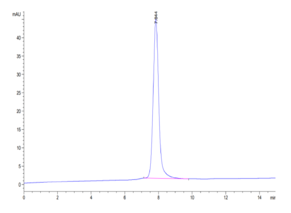 HPLC of Mouse TIMP1 Protein 3293