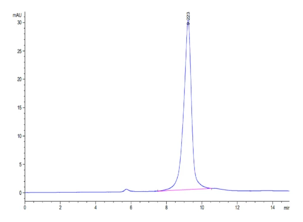 HPLC of SARS-Cov-2 Spike RBD (B.1.640.2/IHU) Protein 3296