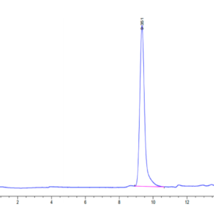 HPLC of Human DDT Protein 3301