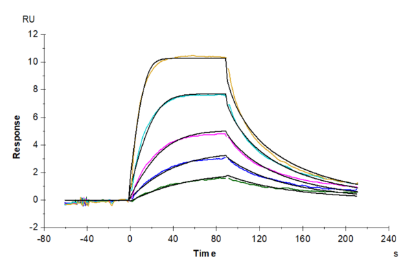 SPR with Human IL-11 Protein 3302