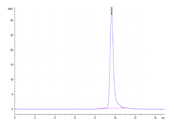 HPLC of Human IL-11 Protein 3302