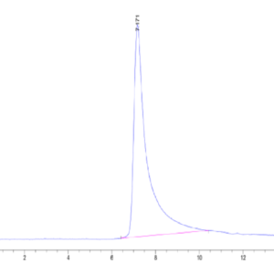 HPLC of Human THSD7A Protein 3304