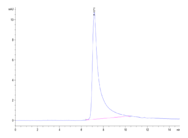 HPLC of Human THSD7A Protein 3304