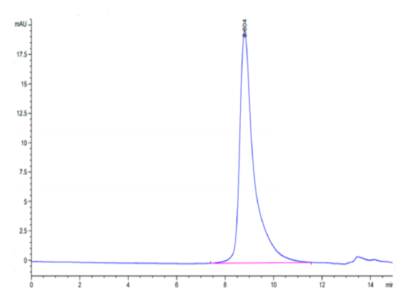 HPLC of Biotinylated Human Siglec-10 Protein 3311