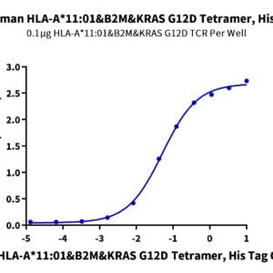 ELISA with Human HLA-A*11:01&B2M&KRAS G12D (VVVGADGVGK) Tetramer Protei 3314