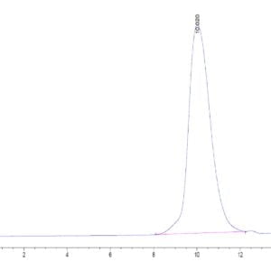 HPLC of Human LILRB1/CD85j/ILT2 Protein 3327