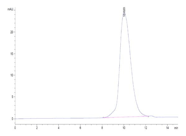 HPLC of Human LILRB1/CD85j/ILT2 Protein 3327