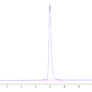 HPLC of Human HLA-A*02:01&B2M&P53 WT (HMTEVVRRC) Tetramer Protein 3329