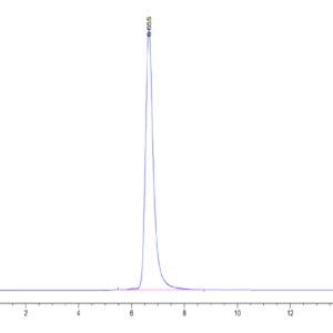 HPLC of Human HLA-A*02:01&B2M&P53 WT (HMTEVVRRC) Monomer Protein 3330
