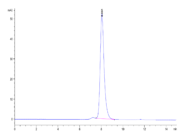 HPLC of Biotinylated Human CLEC2D Protein 3331