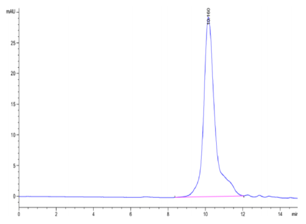 HPLC of Mouse ICOS/CD278 (C137S, C138S) Protein 3336