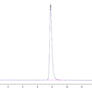HPLC of Human HLA-A*03:01&B2M&KRAS WT (VVVGAGGVGK) Tetramer Protein 3338