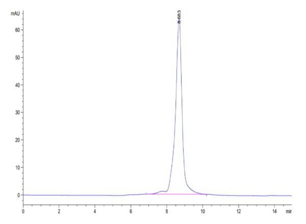 HPLC of Biotinylated Human HLA-A*03:01&B2M&KRAS WT (VVVGAGGVGK) Monomer 3339