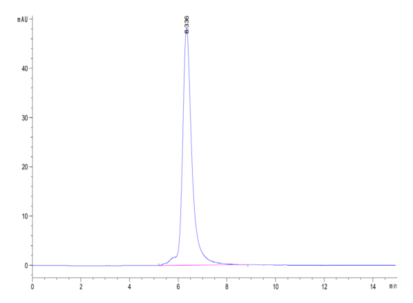 HPLC of Biotinylated Human Tim-3/HAVCR2 Protein 3343