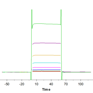 SPR with Human Fc gamma RIIIB/CD16b (NA1) Protein 3349