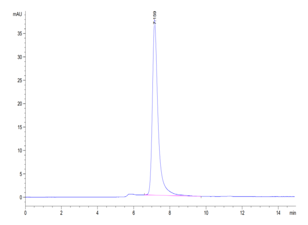 HPLC of Mouse Siglec-2/CD22 Protein 3363