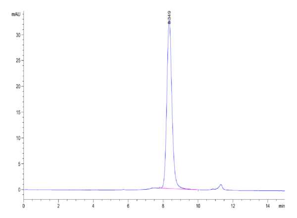 HPLC of Human CYTL1/C17 Protein 3368