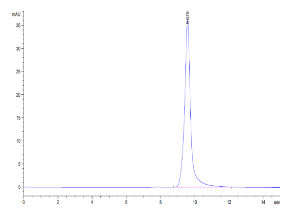 HPLC of Biotinylated Human ENPP-3 (48-157) Protein 3369