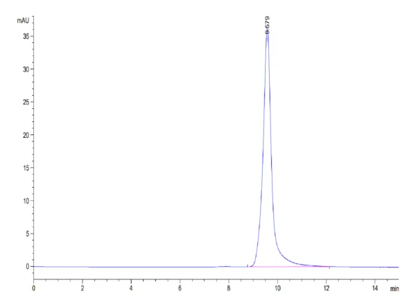 HPLC of Biotinylated Human ENPP-3 (48-157) Protein 3369