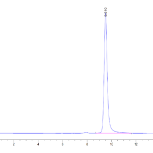 HPLC of Human ENPP-3 (48-157) Protein 3370