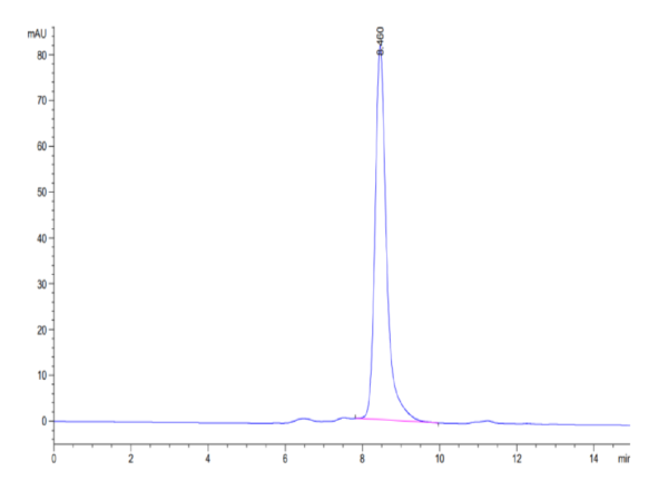 HPLC of Biotinylated Human BTN3A1/CD277 Protein 3371