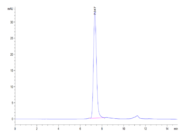 HPLC of Biotinylated Human Siglec-10 (R119A) Protein 3372