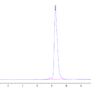 HPLC of Human ENPP-3 (558-875) Protein 3373