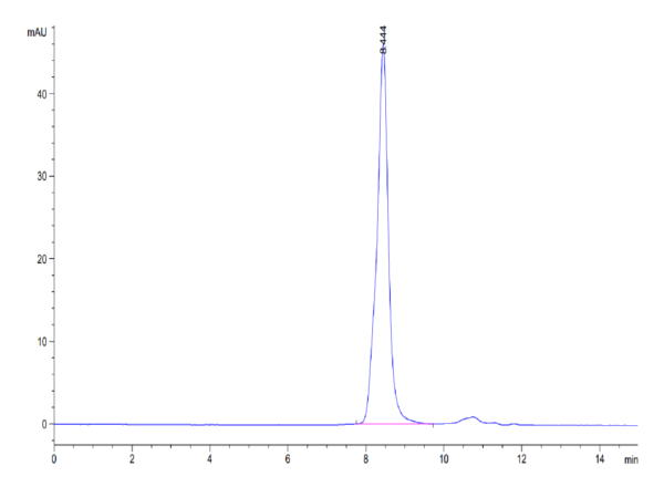 HPLC of Mouse TGM2 Protein 3374