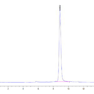 HPLC of Human CD14 Protein 3377