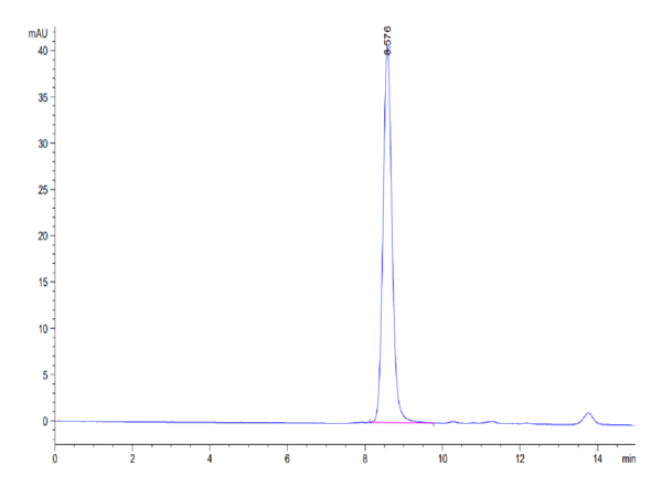 HPLC of Mouse Serum Albumin Protein 3378