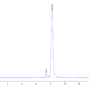 HPLC of Mouse CA9/Carbonic Anhydrase IX Protein 3379