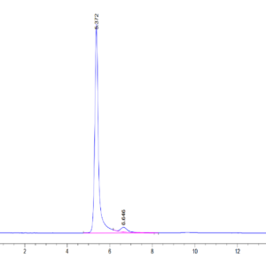 HPLC of Human HLA-A*02:01&B2M&Survivin (LMLGEFLKL) Tetramer Protein 3382