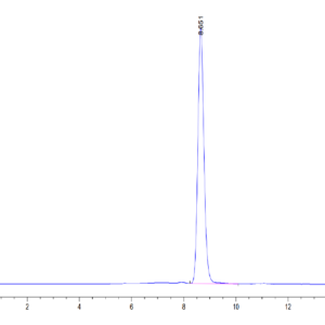 HPLC of Human HLA-A*02:01&B2M&Survivin (LMLGEFLKL) Monomer Protein 3383
